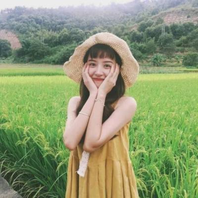 流年之夏
