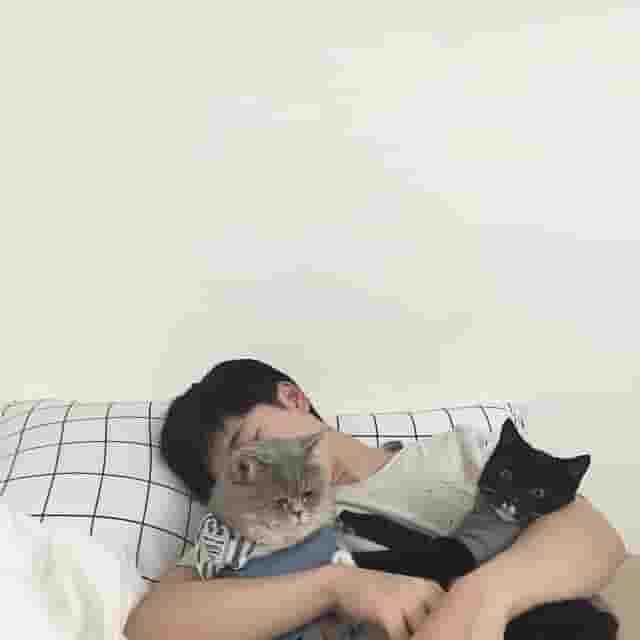 狐说狐有理