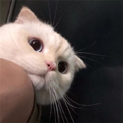云陌星寒