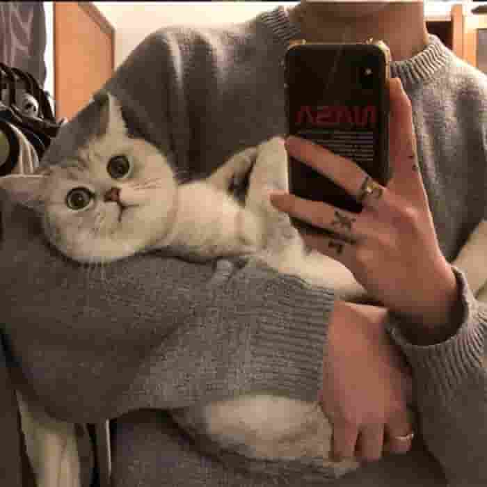 加載失敗