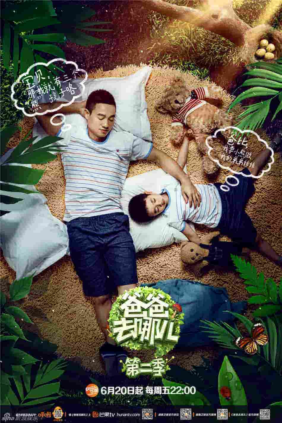 穆桂英挂帅电视剧