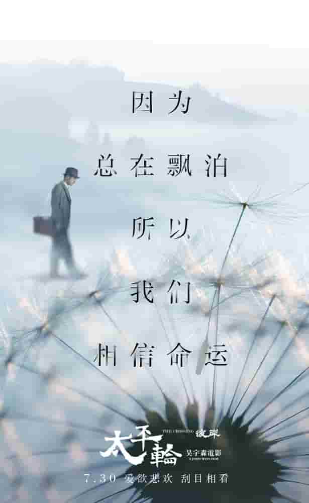 国产满分电视剧